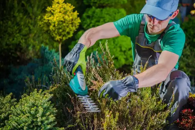 landscaping services Caro